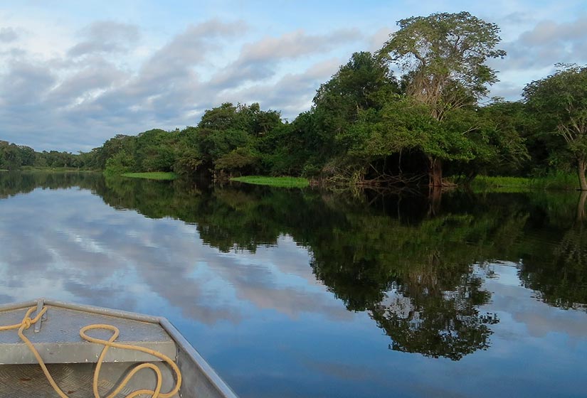 Cúpula, em Belém, será a “voz amazônica”, diz diretor da OTCA