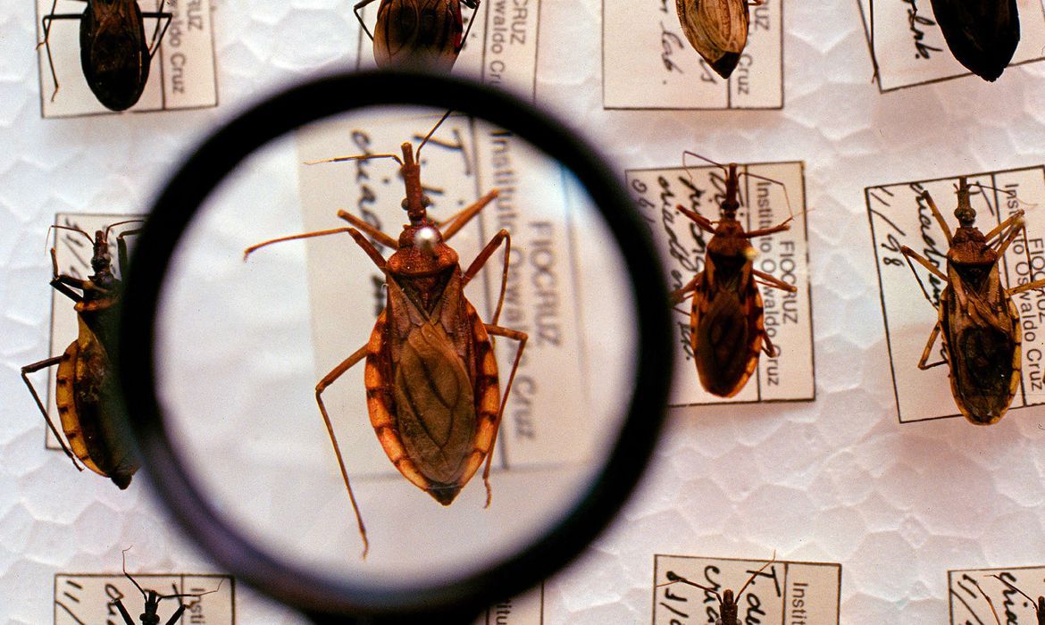 Plataforma pretende reunir pesquisas sobre a Doença de Chagas