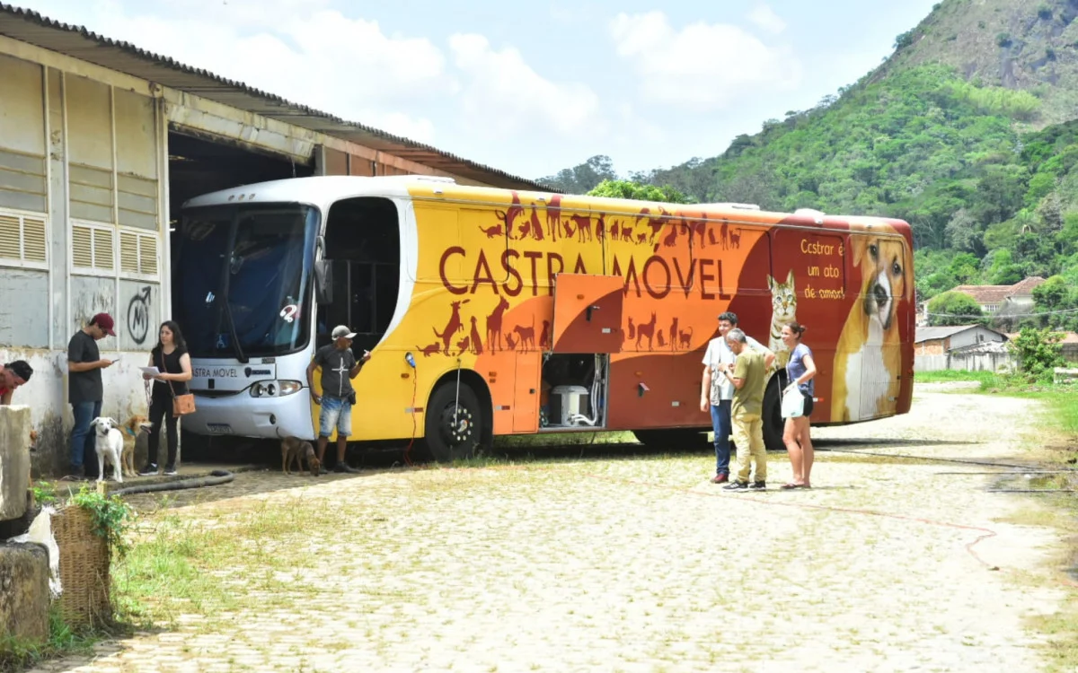 Campanha de castração em Petrópolis alcança marca de 3,1 mil cirurgias em 2023