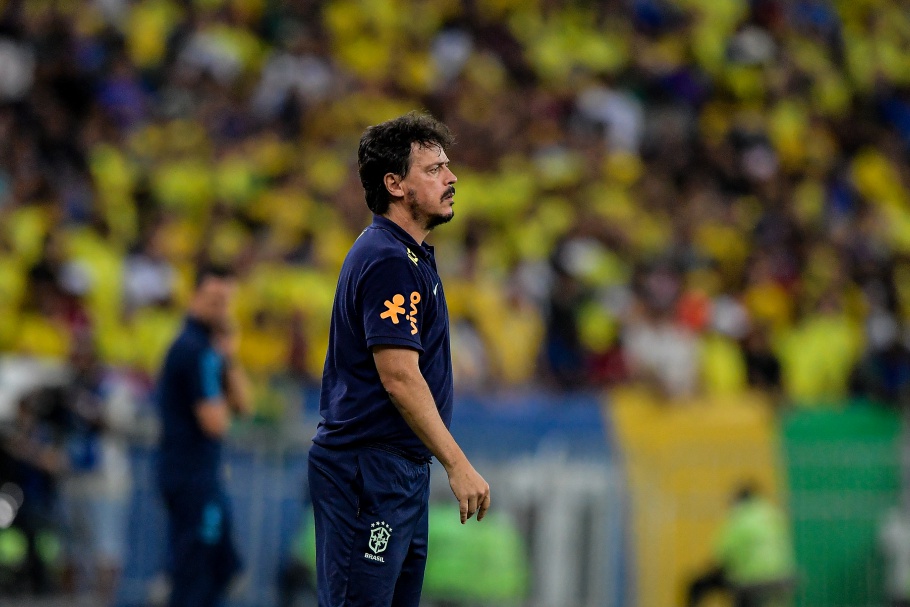 Fernando Diniz lamenta revés para a Argentina pelas Eliminatórias