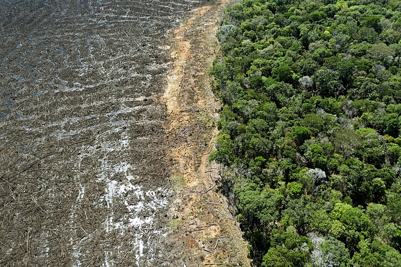 Estados já podem aderir ao programa de segurança da Amazônia