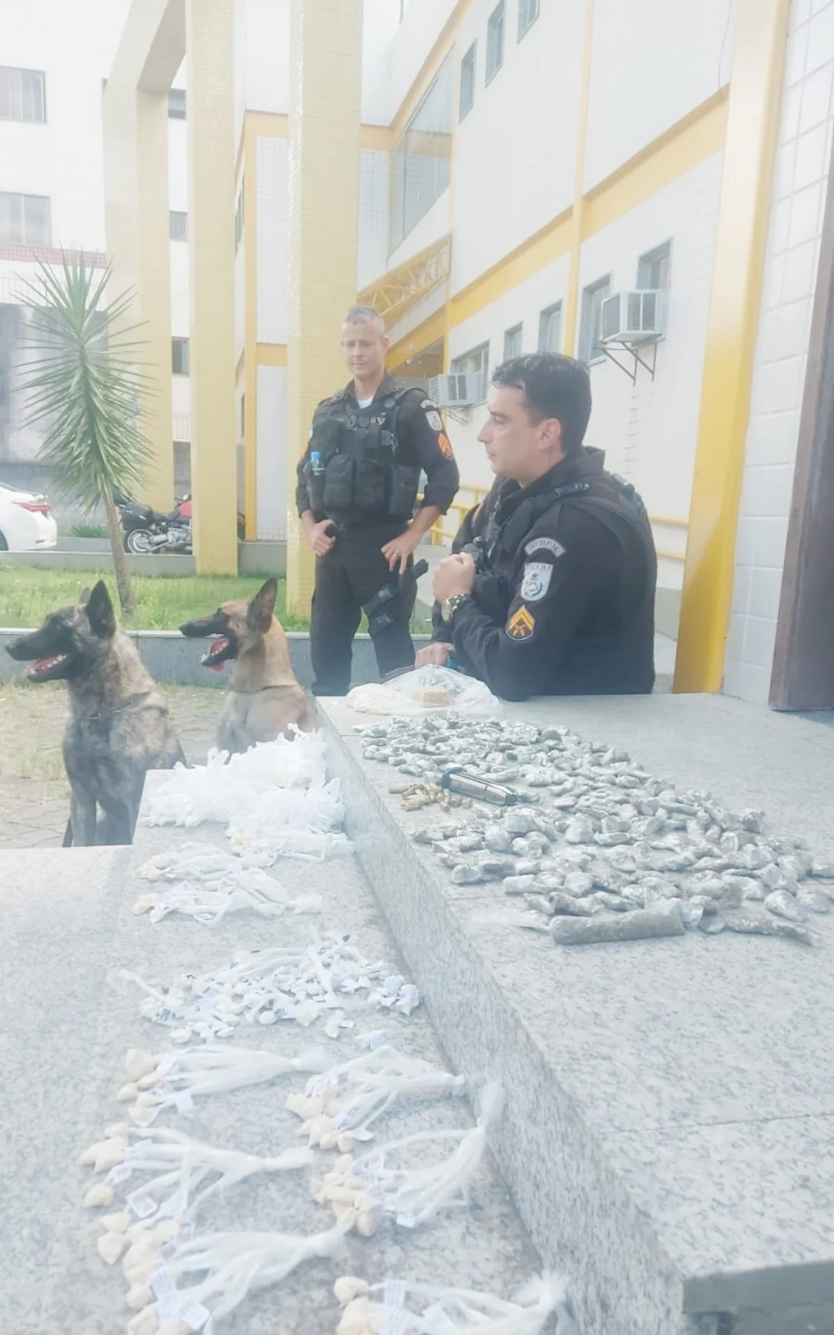 Polícia apreende munições e entorpecentes em Teresópolis