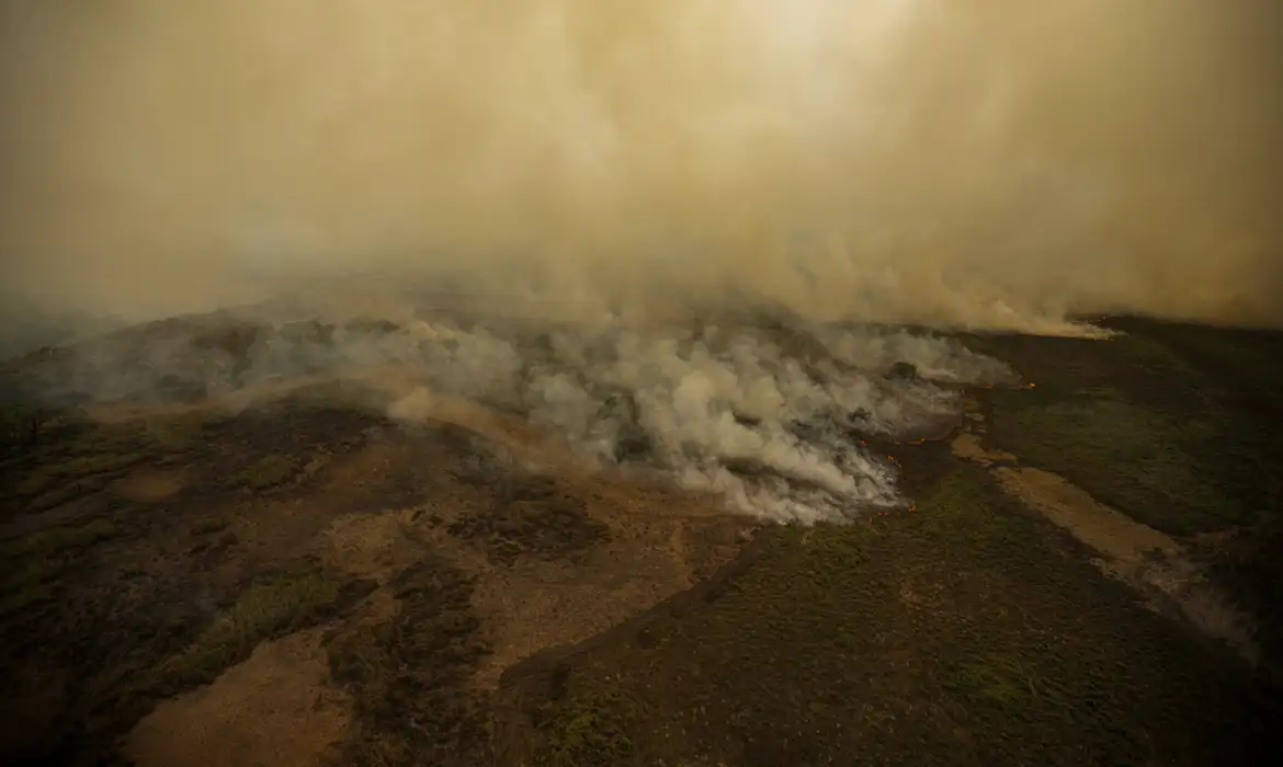 Pesquisa mede emissão de óxido nitroso na Amazônia e no Pantanal