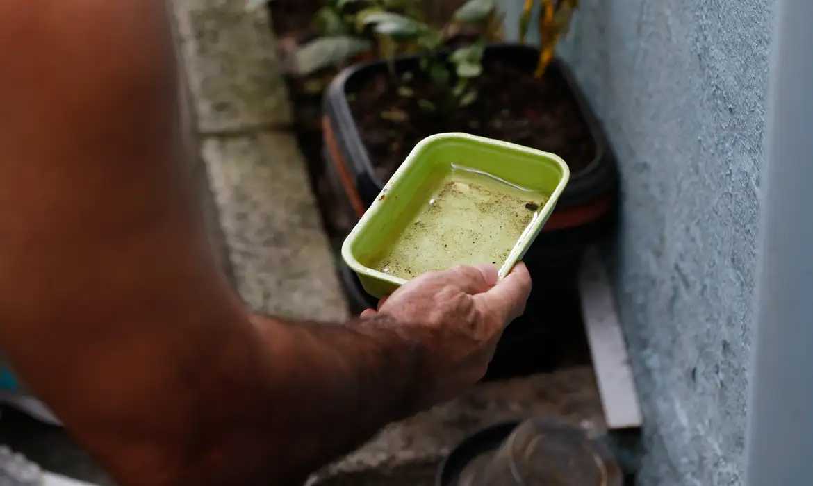 Vacina da dengue agrega outras estratégias de combate, diz ministério