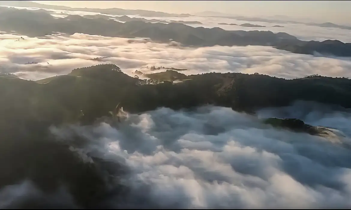 Buscas por helicóptero desaparecido em São Paulo chegam ao oitavo dia