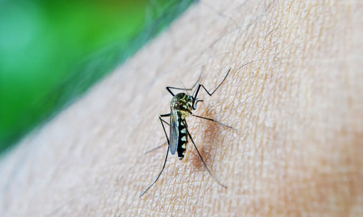 Brasil registra 391 mortes por dengue no país