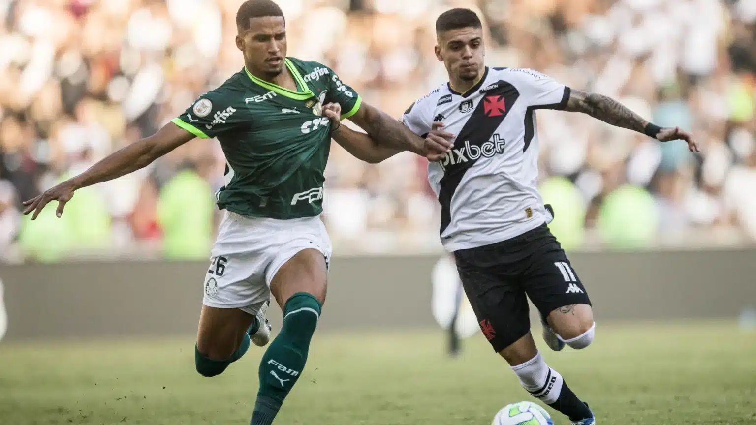 Palmeiras x Vasco pelo Brasileirão: saiba onde assistir!