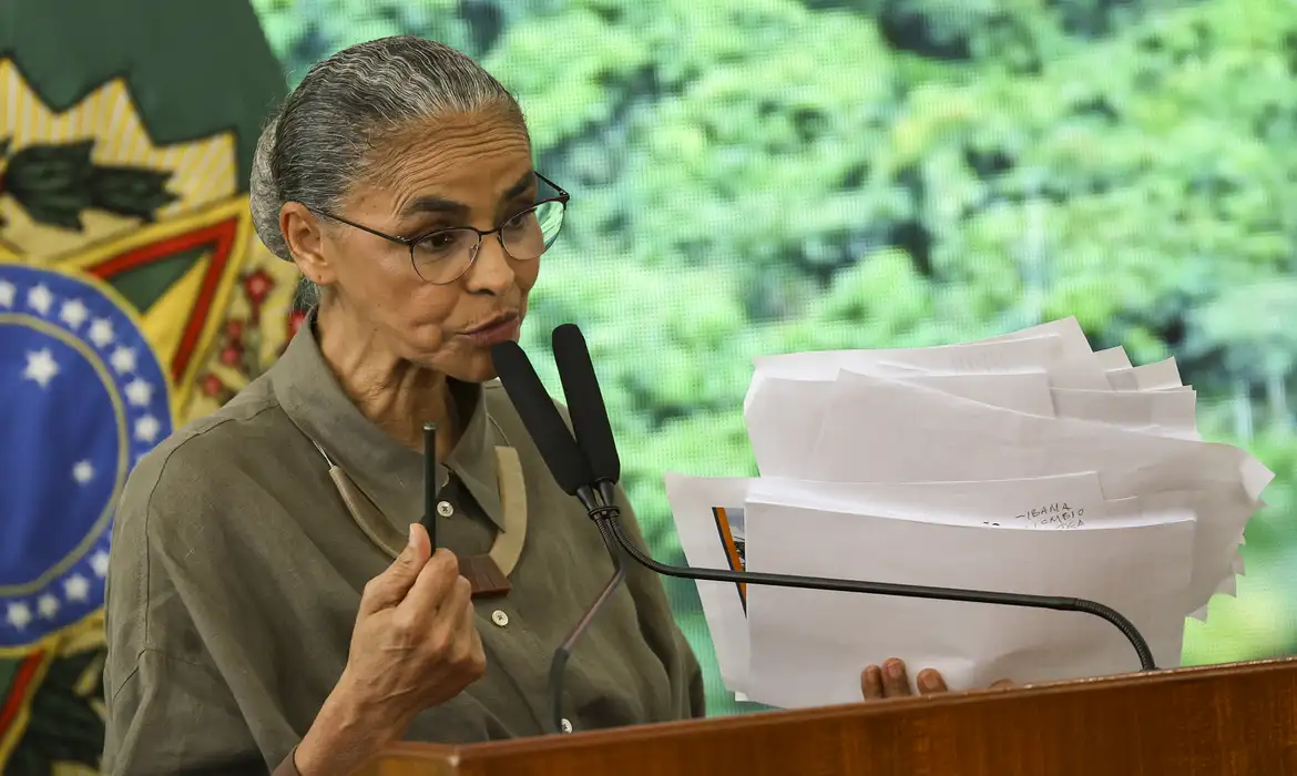 Desmatamento no Cerrado tem redução de 12,9% neste ano