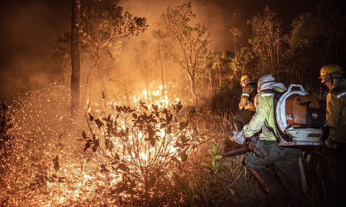 Manejo com fogo, contrafogo e queimada – entenda a diferença